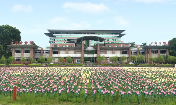 QQ截图20190829141739.png