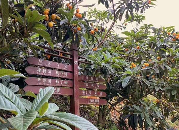 QQ截图20200605151250.png