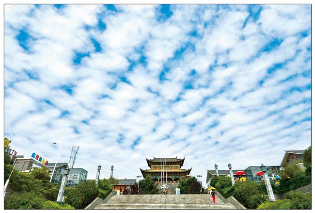 下载.jpg