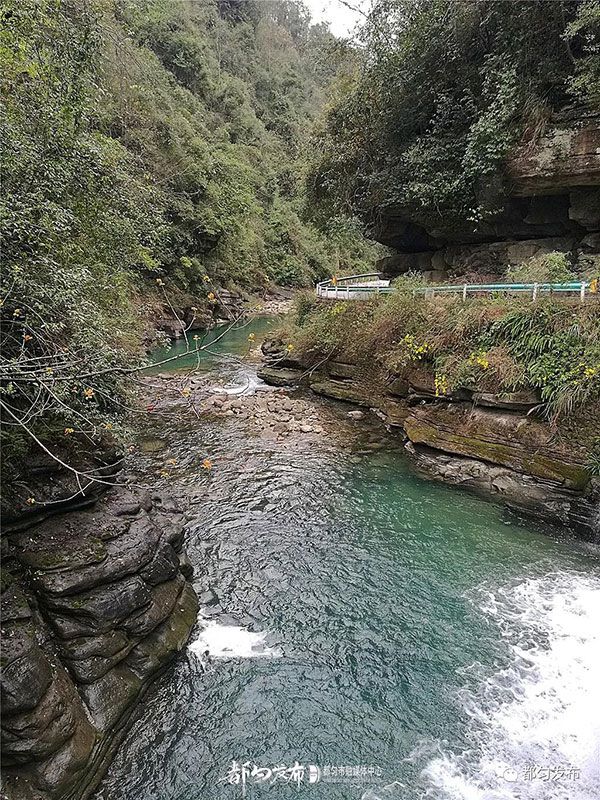 下载 (2).jpg