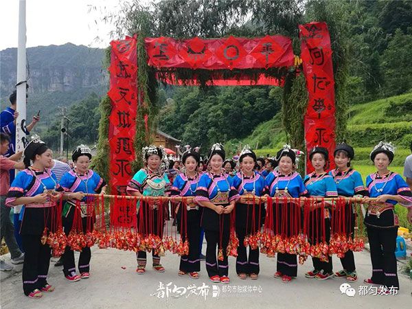 下载 (5).jpg