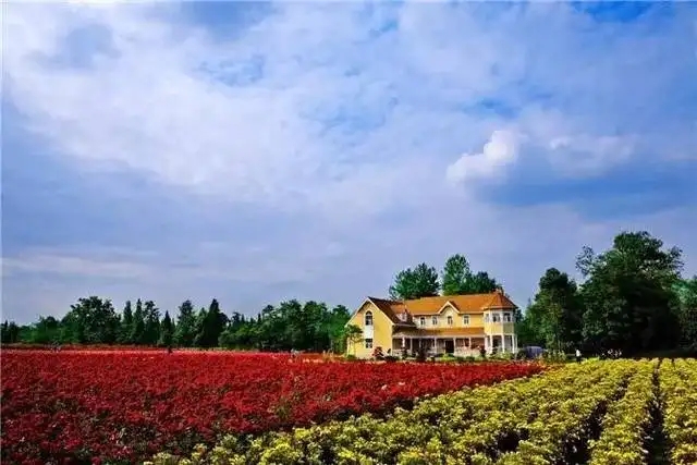 src=http___img.mp.sohu.com_q_70,c_zoom,w_640_upload_20170525_b7cfcd93536a4c859fc656401b77ee6d_th.jpg&refer=http___img.mp.sohu.webp.jpg